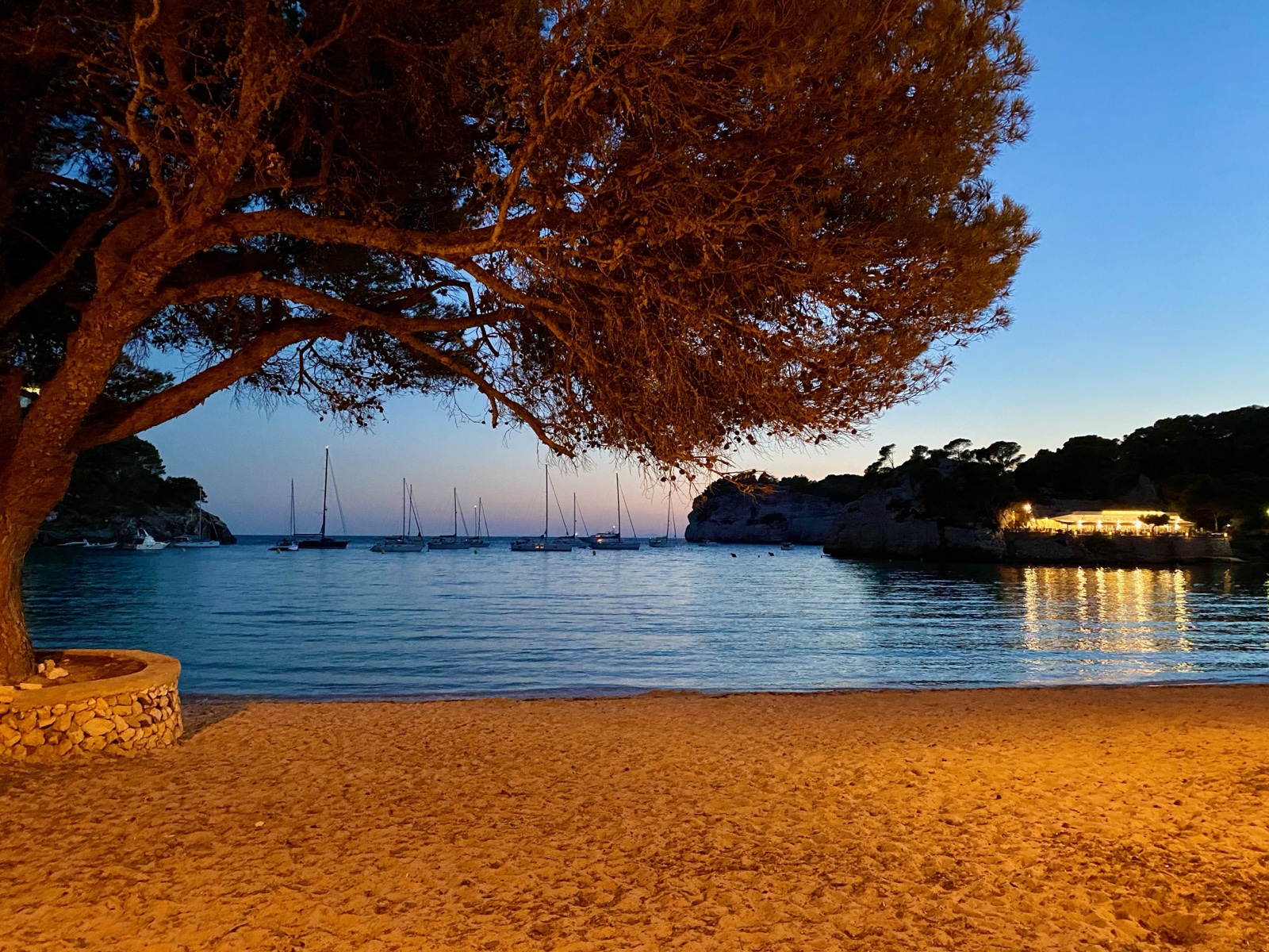 Cala Galdana beach at dusk — golden light, pine tree, and sailing boats moored in the bay