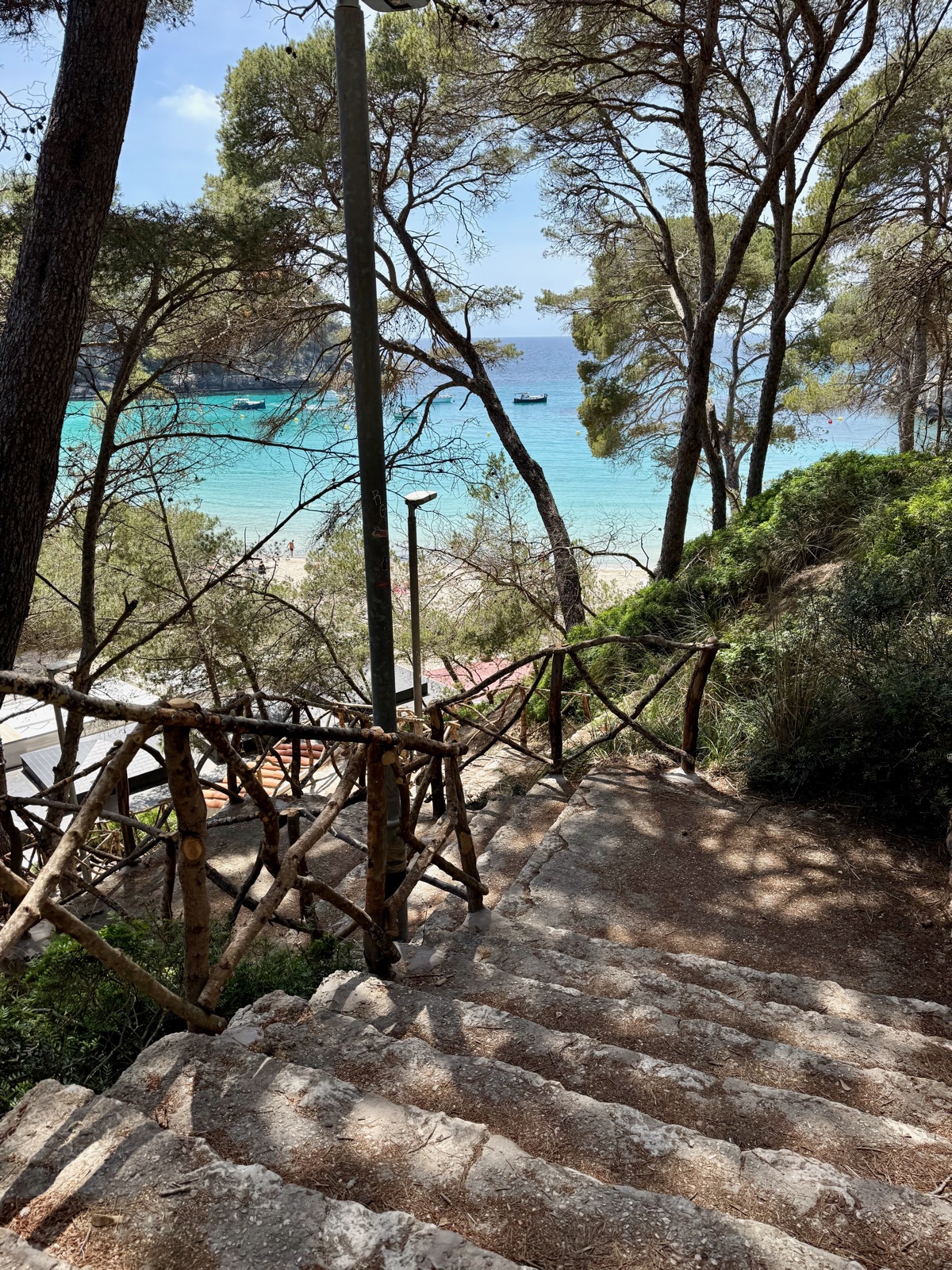 Stone steps path through pine trees leading down to the beach