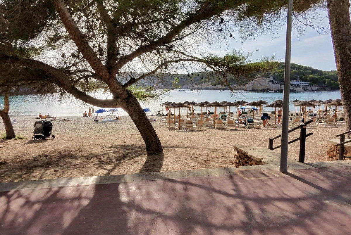 Beach umbrellas under pine trees at Cala Galdana